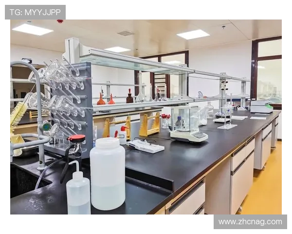 PA真人游戏的安全性与公平性分析与保障措施