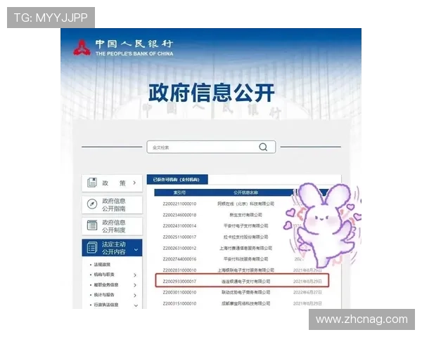 安全可靠的AG在线官网支付方式详解，保障您的资金安全