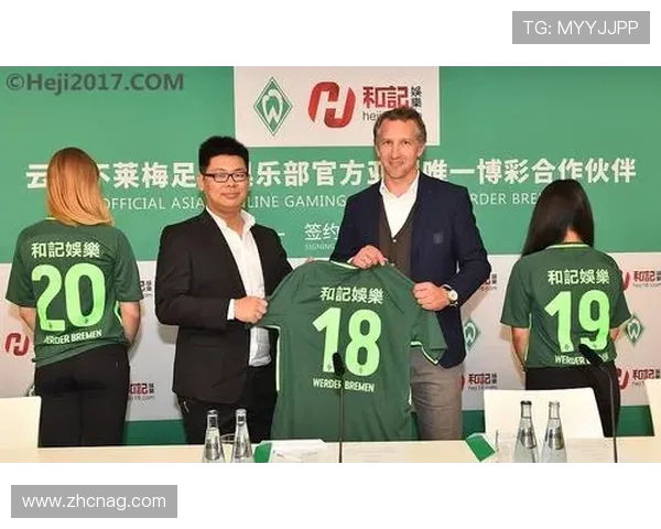 视讯娱乐代理平台如何选择以确保收益最大化与安全保障