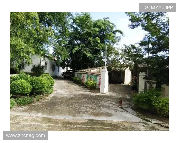 mg视讯唯一官网接口的常见问题与解决方案，助你轻松应对技术难题